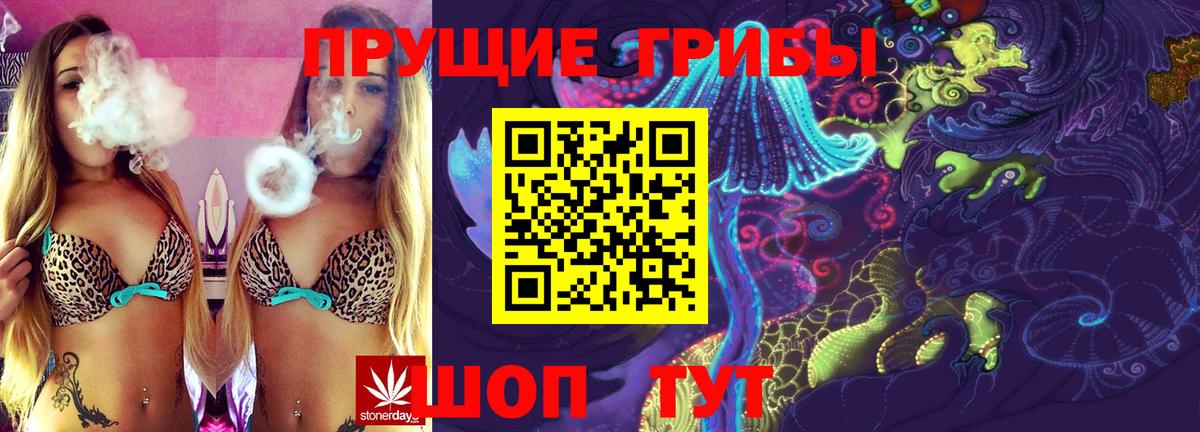 Псилоцибиновые грибы Psilocybine cubensis  Вход с VPN  Чистополь 